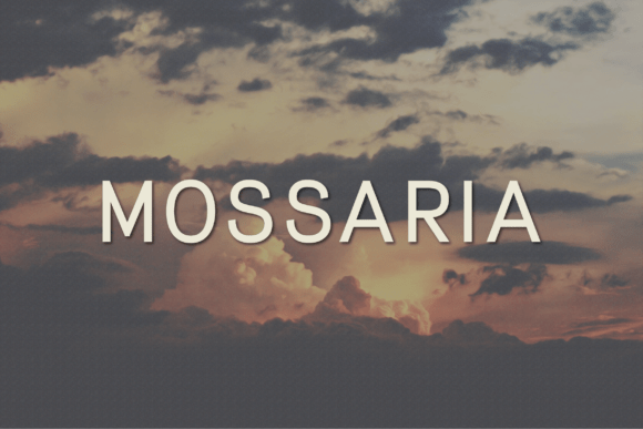 Discovering Mossaria: A Modern Sans Serif for Branding Projects