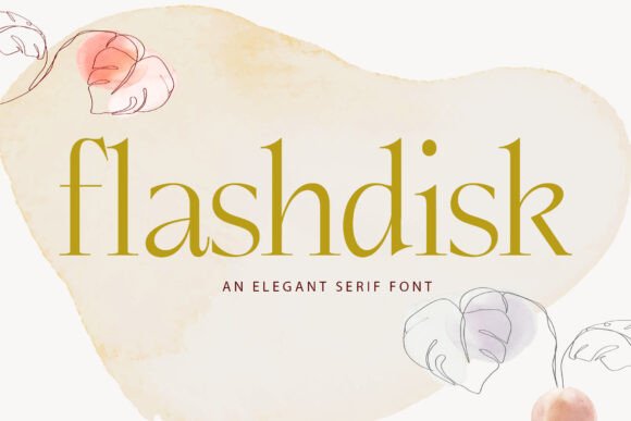 Flashdisk Serif Font for Web Design