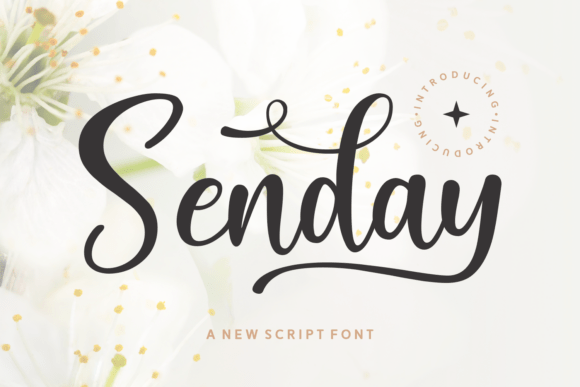 Senday: A Modern Script Font for Digital Branding