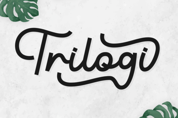 Trilogi: A Modern Script Font for Editorial Design